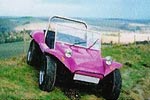 Buggy Quad zur Miete