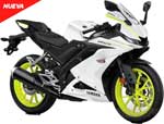 Motorbike Hire Rentals