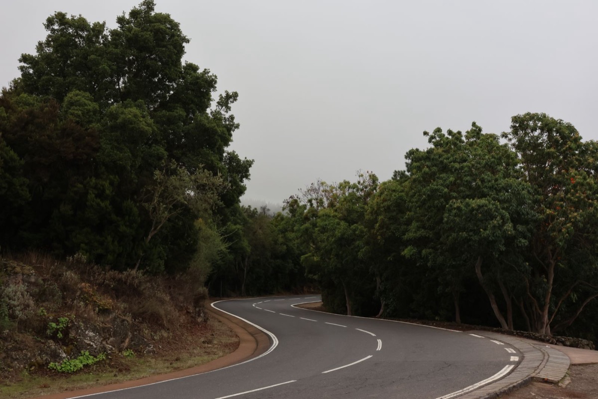 Motorradroute Anaga-Nebelwald auf Teneriffa – Morgens Nebelwald, mittags Steilküste, immer Kurven.